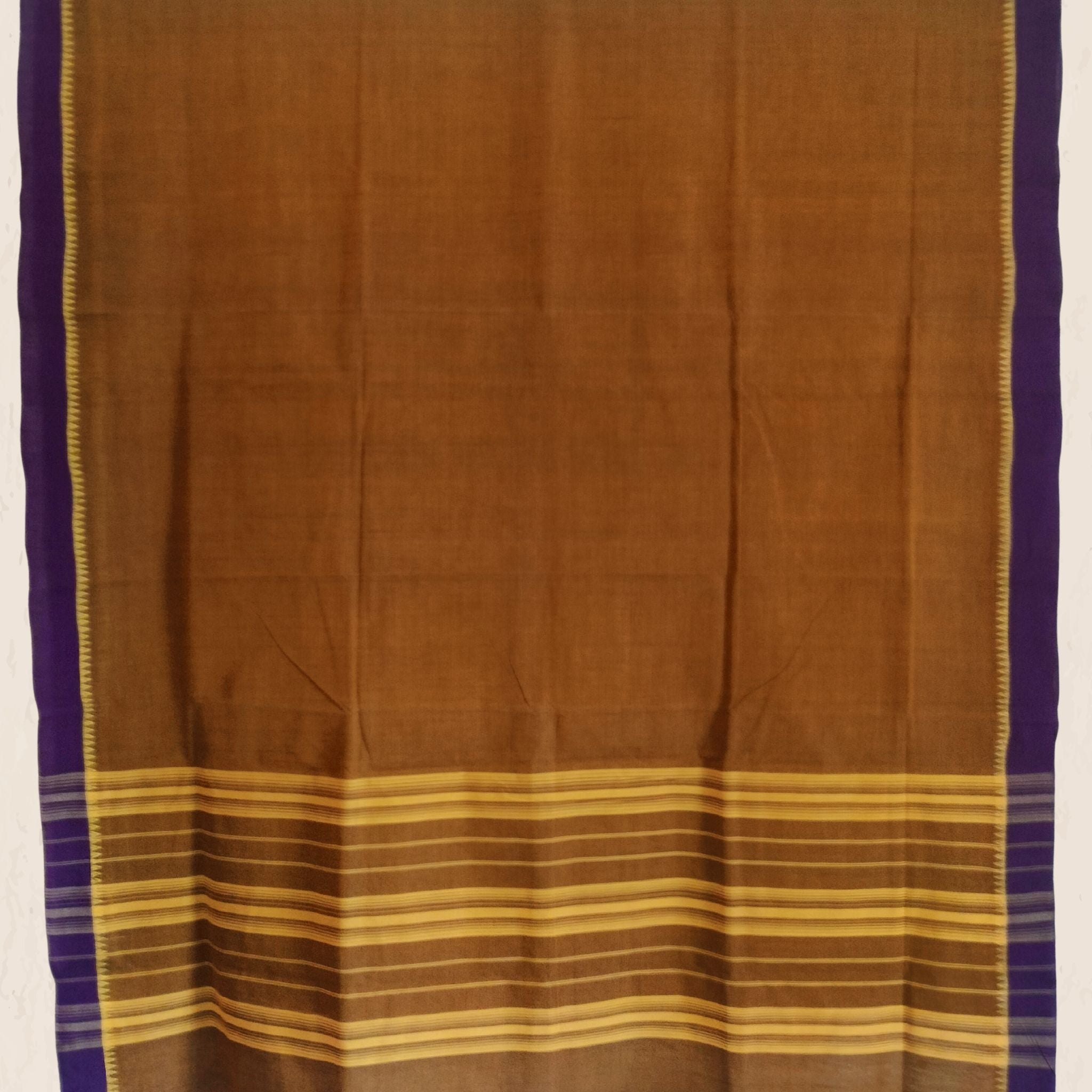 Andhra Handwoven Cotton Saree - Special Blouse