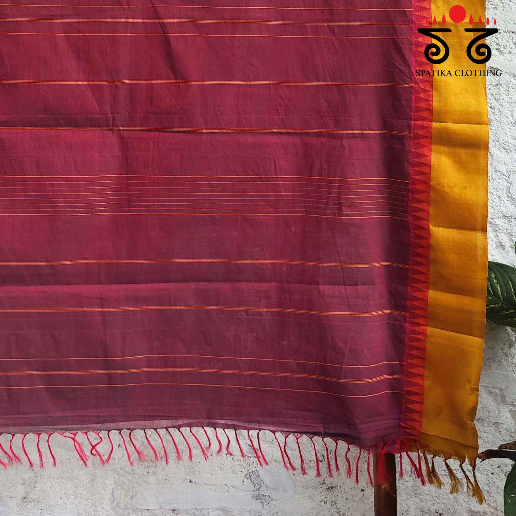 Korvai Kanchi Cotton - Handwoven Saree