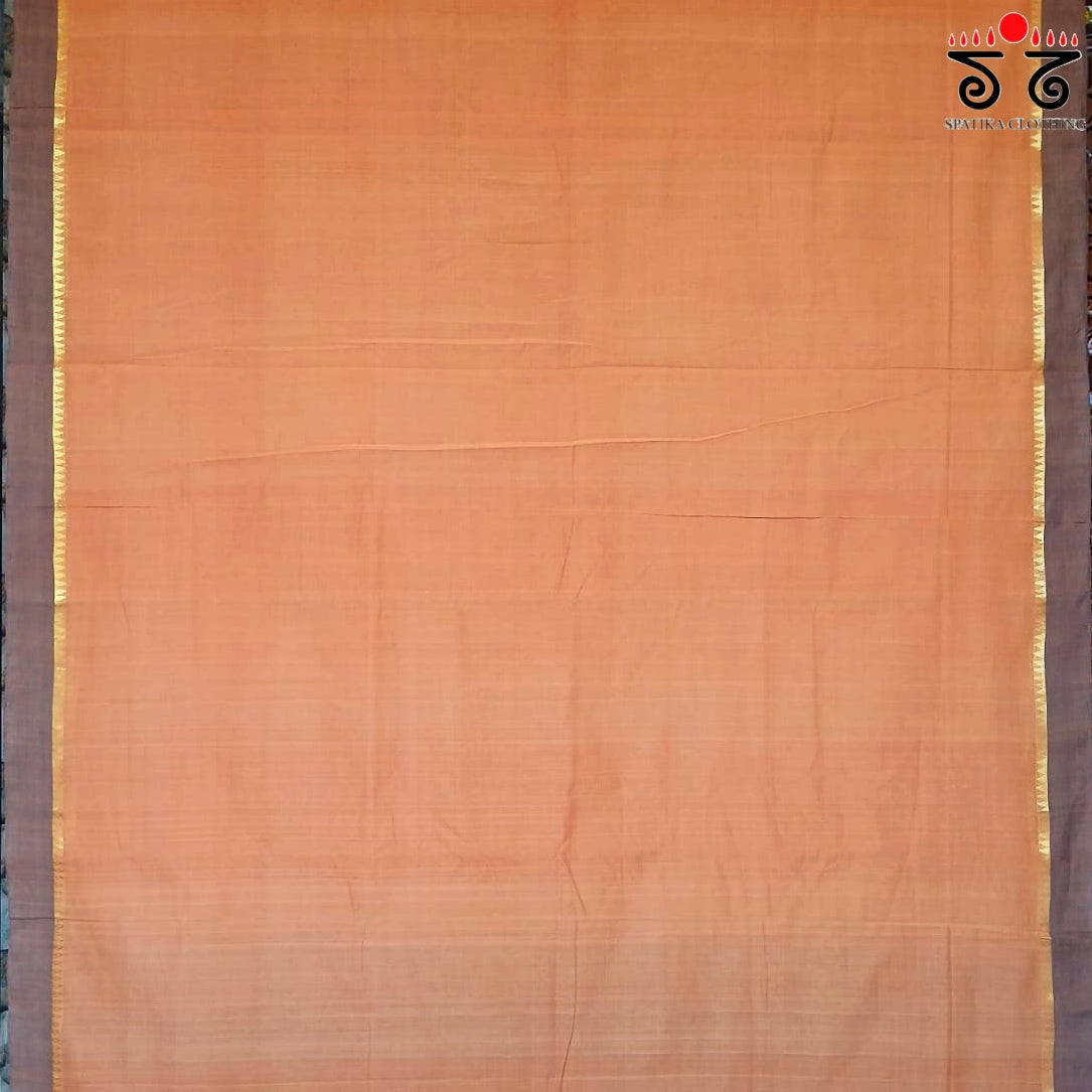 Andhra Handwoven Cotton Saree