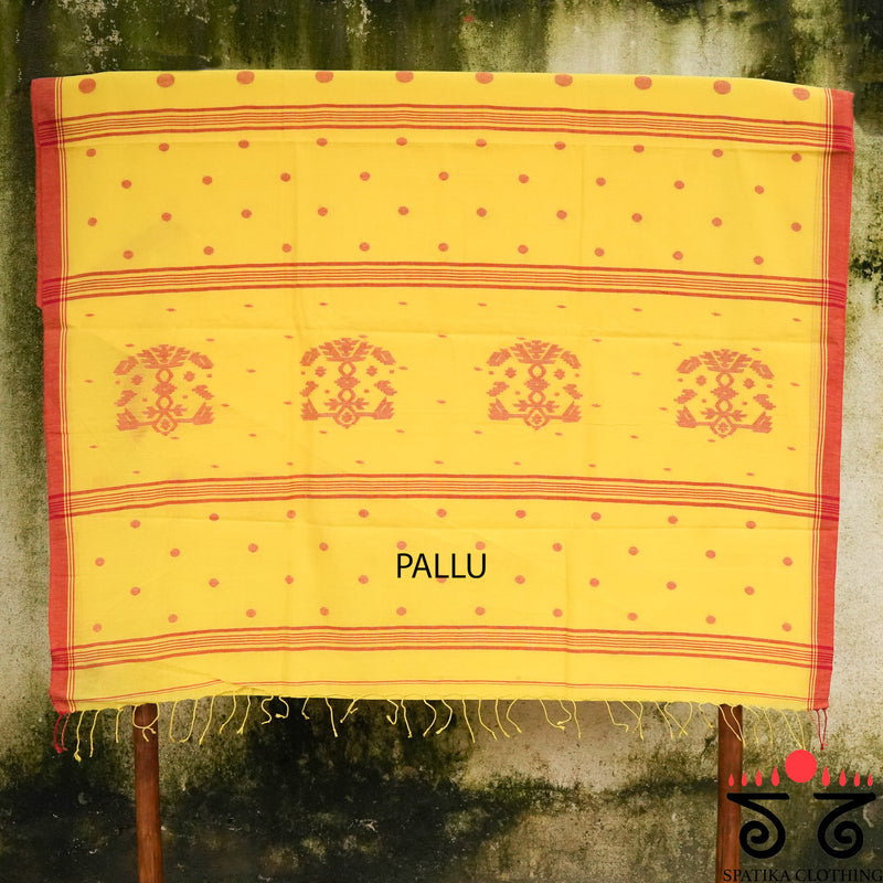 Jamdhani-Bengal Cotton Saree