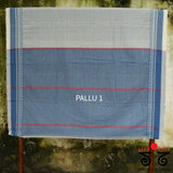 Aane Hejje - Revival Saree