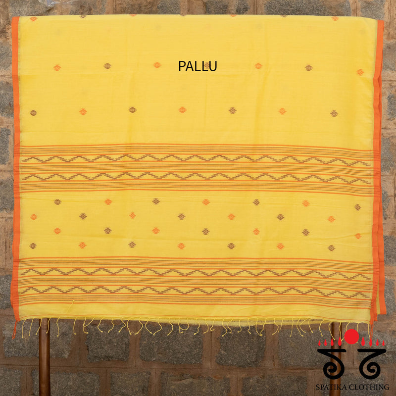 Jamdhani on Bengal Cotton Saree